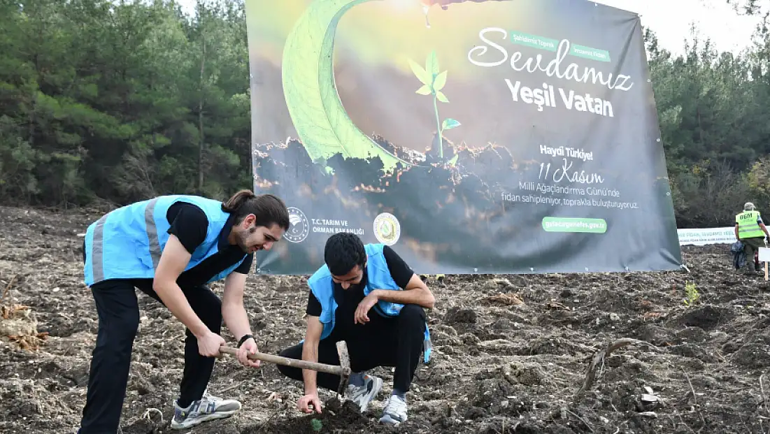 Balıkesir’de Gençler Milli Ağaçlandırma Günü’nde Yeşil Vatan İçin Buluştu