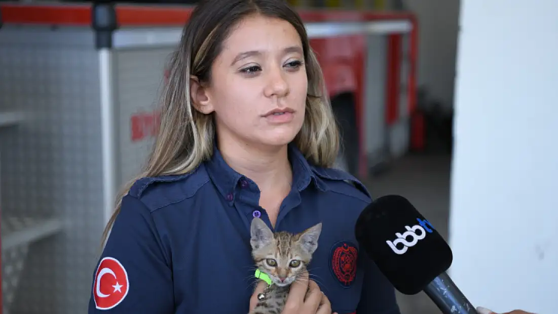 İtfaiye Eri Kendi solunum cihazını kediye takarak hayatını kurtardı