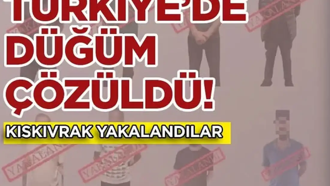 Kırmızı bültenle aranıyorlardı: 11 suçlu Türkiye'de!