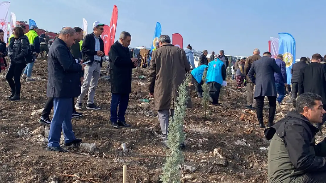 Ak Parti Karesi İlçe Kongresi Sonrası Fidanlar Toprakla Buluştu