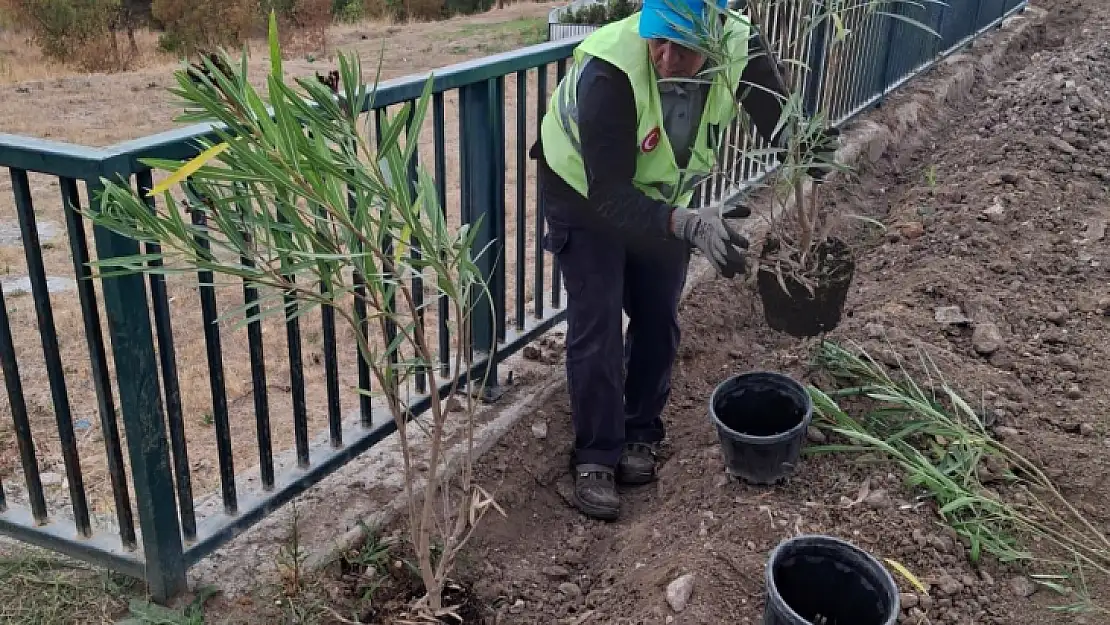 Annesi kenti güzelleştiriyor, kızı rekorlar kırıyor