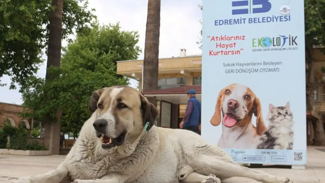 Atıklarınız Sokak Hayvanlarına Can Olsun