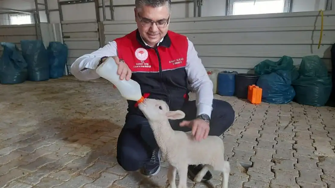 Balıkesir'de Küçükbaş Üretimi Artarak Hız Kazanıyor…