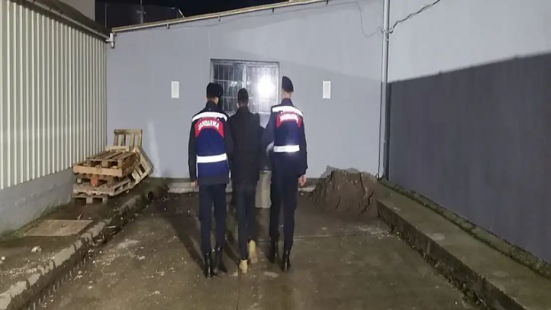 Bandırma'da Yazlık Evlere Giren Hırsız Yakalandı