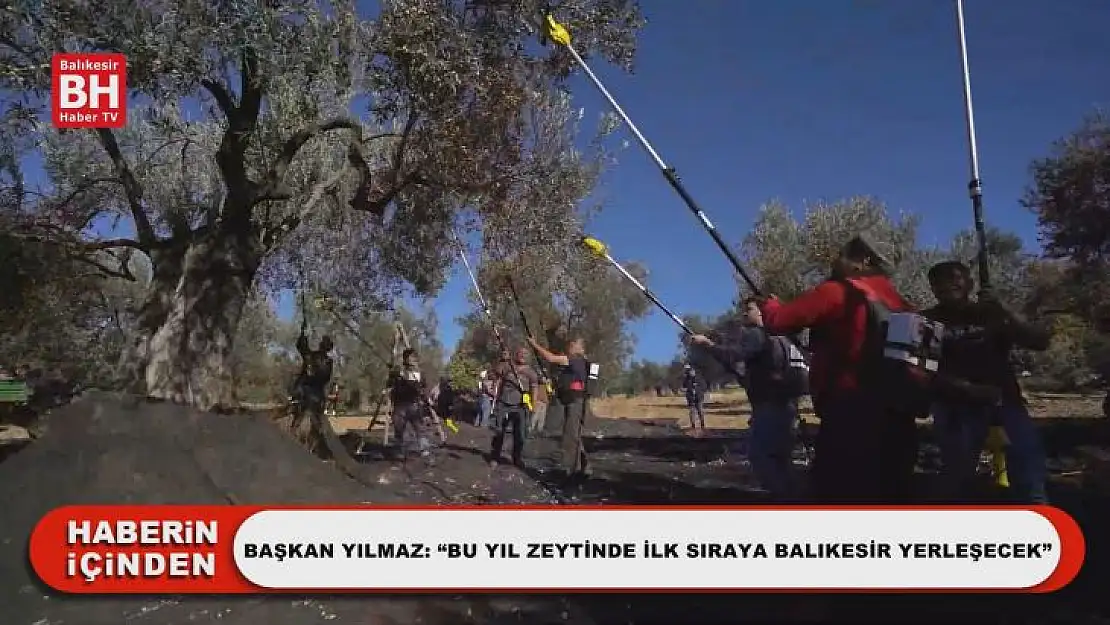 Başkan Yılmaz: 'Bu Yıl Zeytinde İlk Sıraya Balıkesir Yerleşecek'