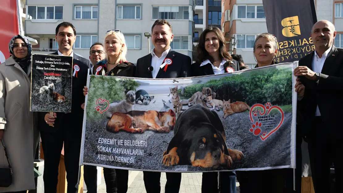 Başkan Yılmaz'dan hayvanseverlere müjde!