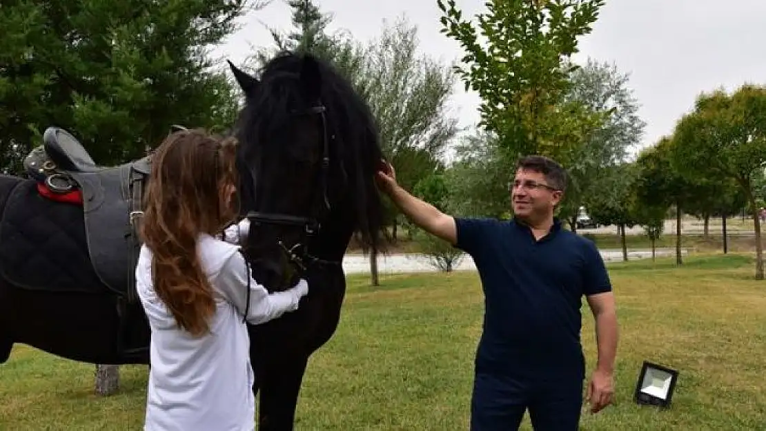 BAÜN'de Cins Atlara Embriyo Transferi Yapılacak