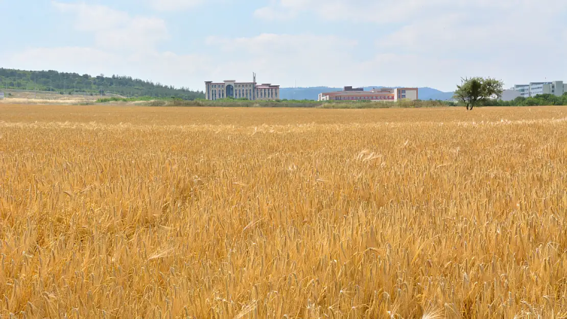 BAÜN'de Tarımsal Üretim Devam Ediyor