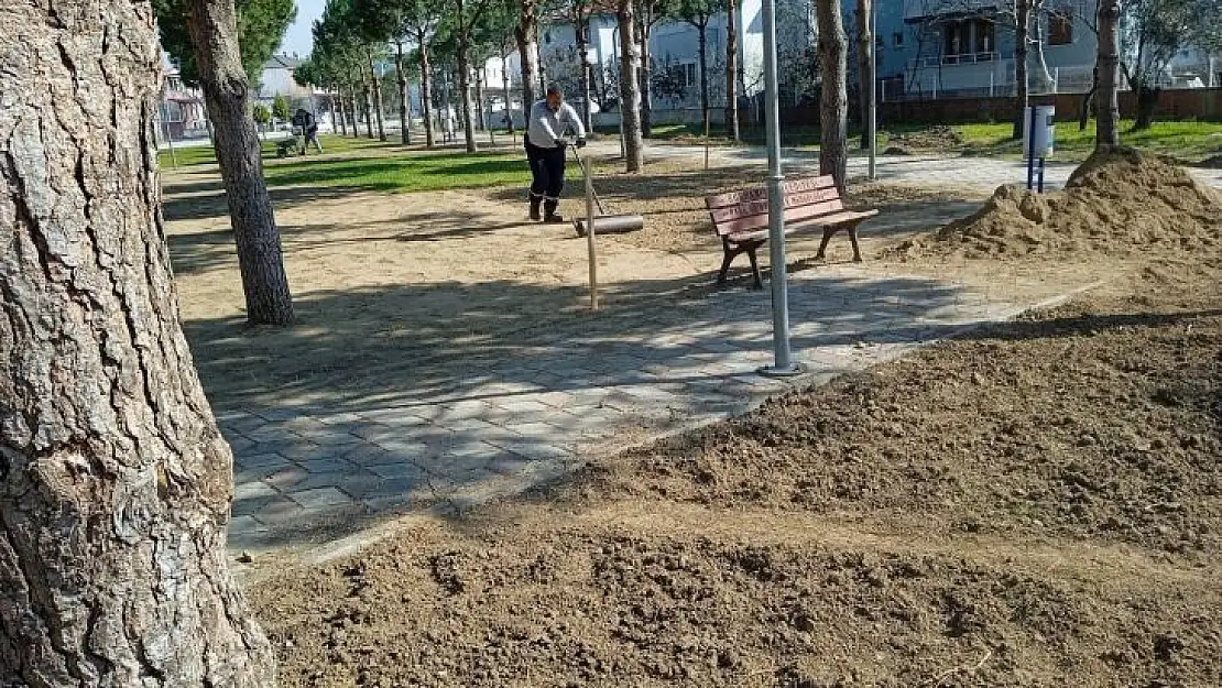 Burhaniye'de Talip Apaydın Çamlığı Yenileniyor