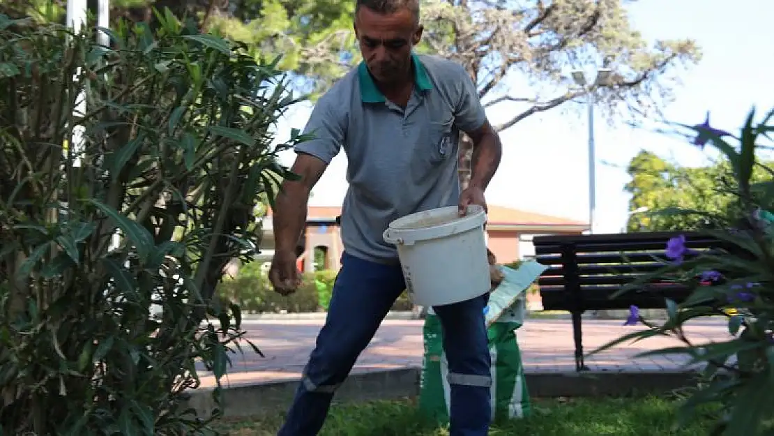 Burhaniye'nin Parklarında Yaz Sonu Bakımı Yapılıyor