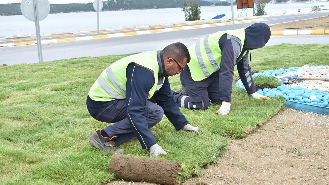 Büyükşehir Belediyesi ürettiği çimleri kullanıyor