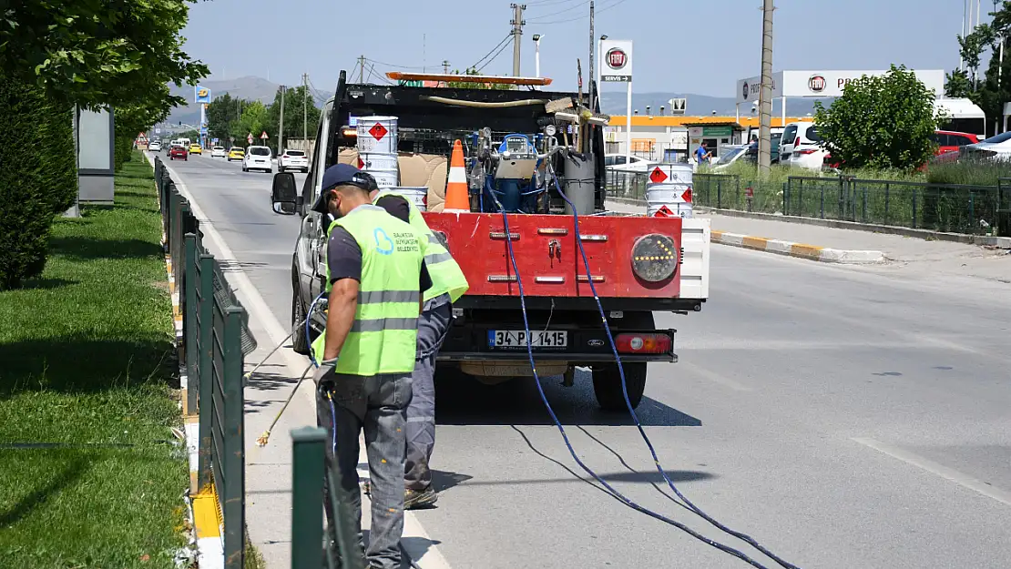 Büyükşehir'den refüjlere estetik dokunuş