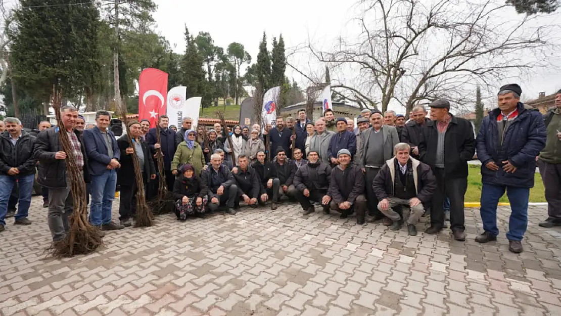 Büyükşehir'den üreticiye 150 bin fidan desteği