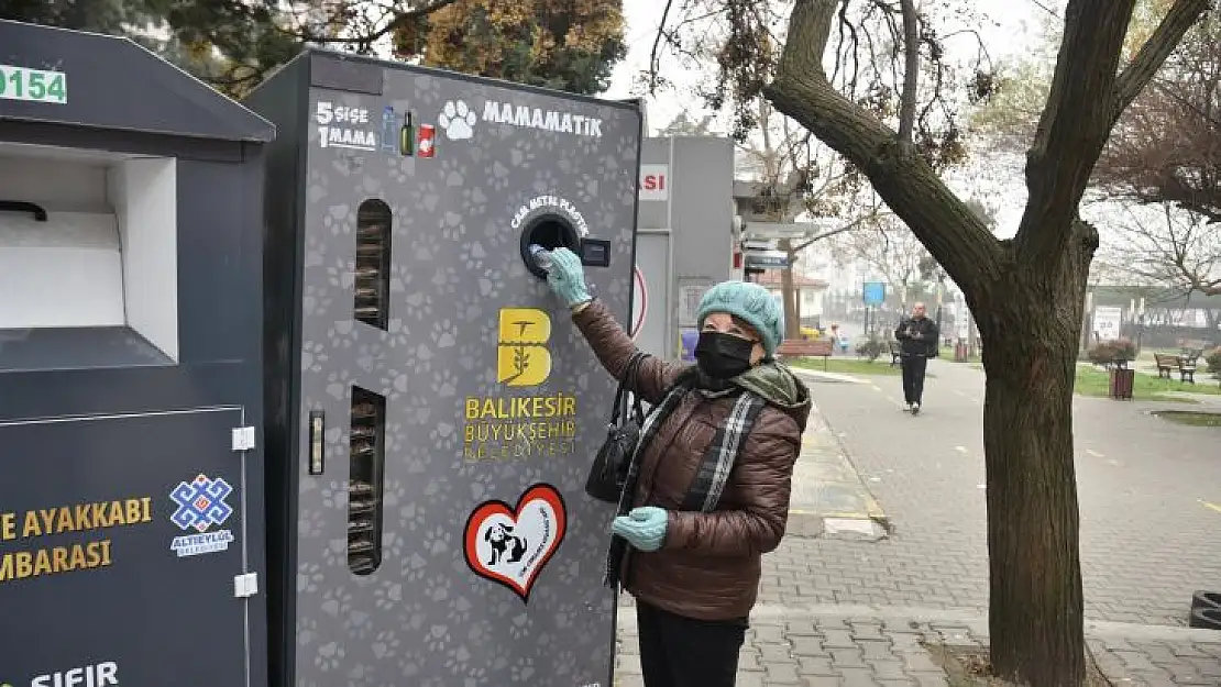 Büyükşehir Şifalı Elleriyle Sokak Hayvanlarının Yanında