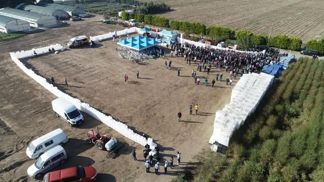 Büyükşehir, Zeytin Üreticilerini Desteklemeye Devam Ediyor