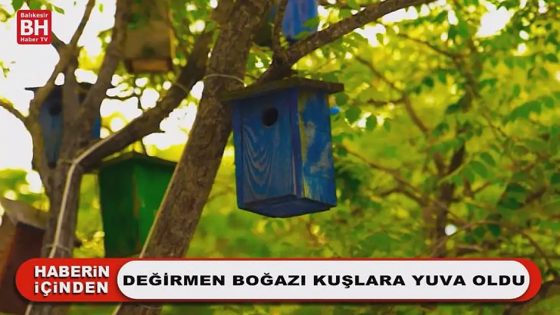Değirmen Boğazı Kuşlara Yuva Oldu