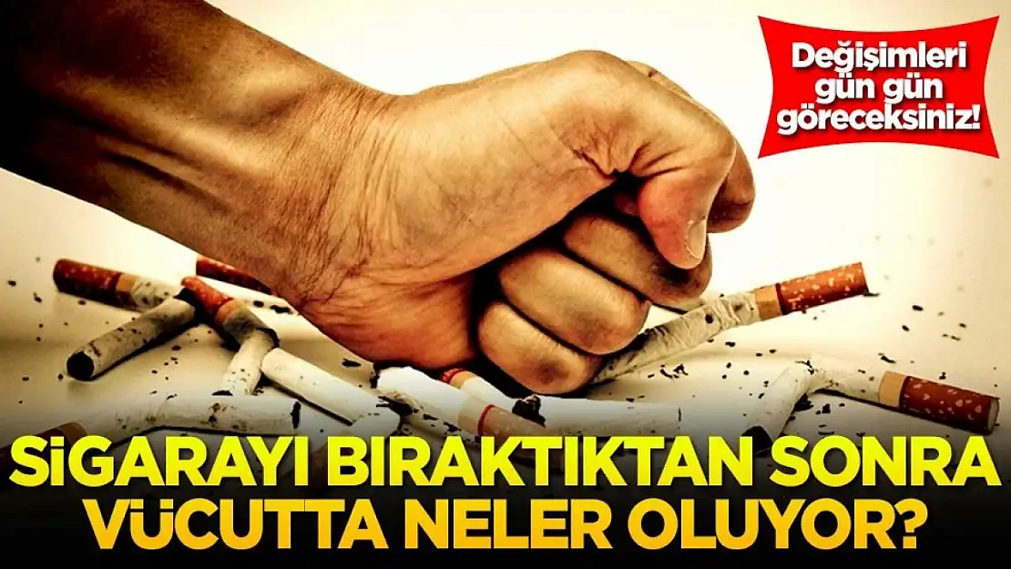 Değişimleri gün gün göreceksiniz! Sigarayı bıraktıktan sonra vücutta neler oluyor?