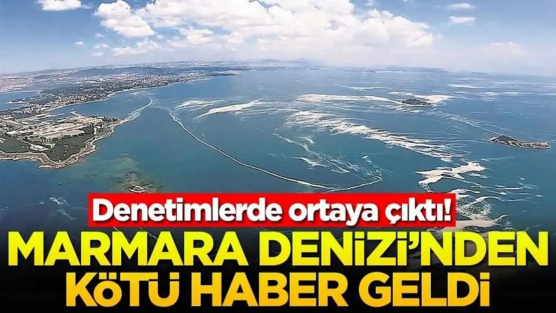 Denetimlerde ortaya çıktı! Marmara Denizi'nden kötü haber geldi