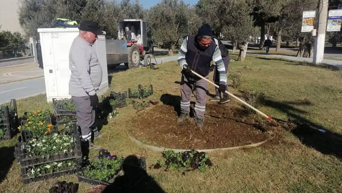 Edremit'te Bakım ve Peyzaj Düzenlemeleri Devam Ediyor