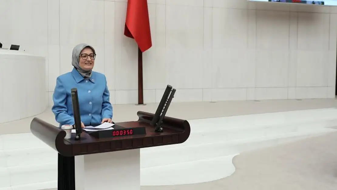 Kamuda Çalışan Hukuk Fakültesi Mezunlarına Staj Yolu Açıldı