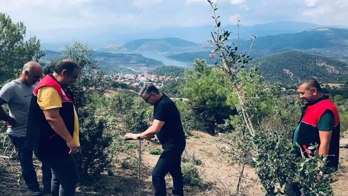 Karadut Suyu Yetiştiriciliğini Geliştirme Çalışmaları Sürüyor