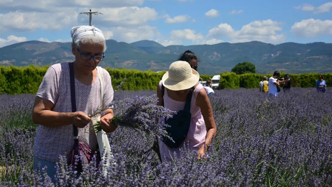 Kazdağları'nın Eteklerinde Aromaterapi Festivali