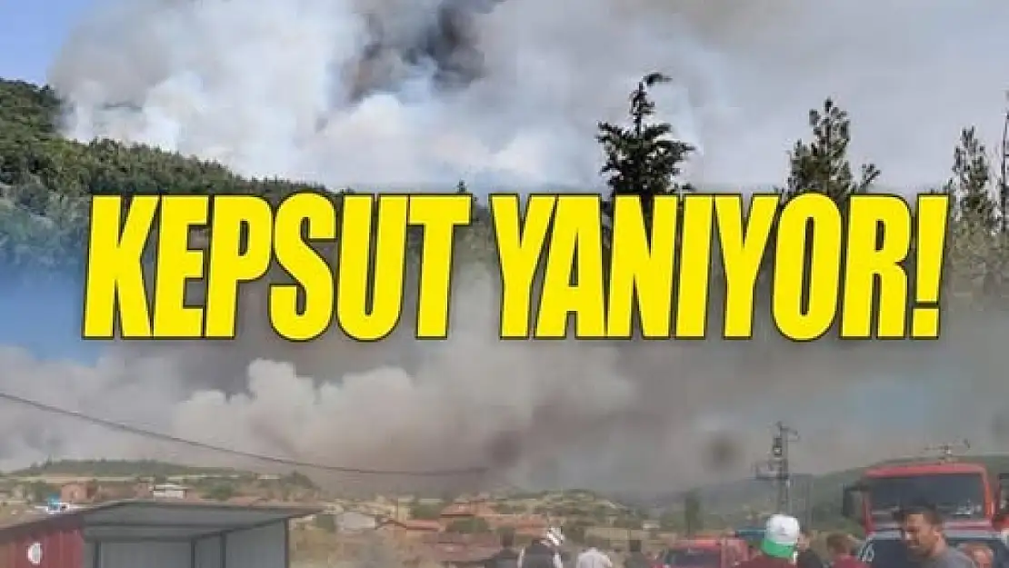 Kepsut'ta 3 ayrı noktada yangın: 1 köy boşaltılıyor