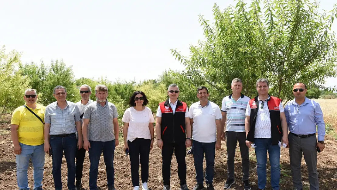 Kokarca'ya Karşı Biyolojik Mücadele Başladı…