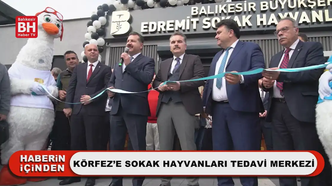 Körfez'e Sokak Hayvanları Tedavi Merkezi