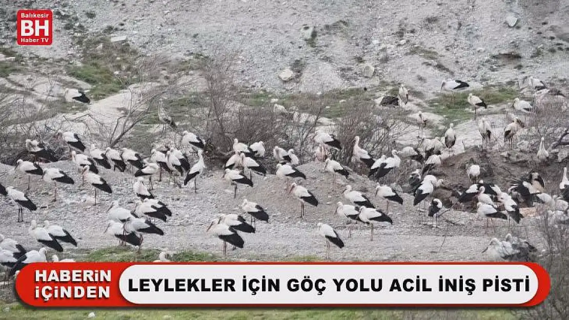 Leylekler İçin Göç Yolu Acil İniş Pisti