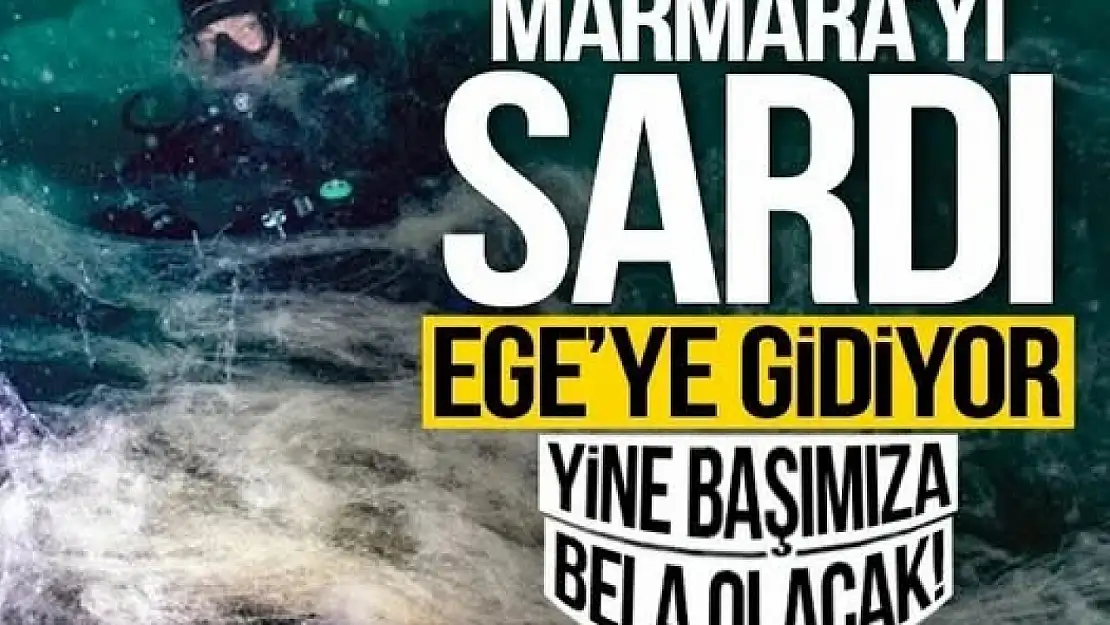 Marmara'yı sardı Ege'ye doğru gidiyor! Denizlerde müsilaj alarmı!