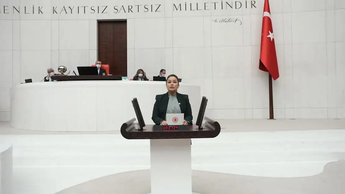 Mutlu Aydemir Anayasa Komisyonu Üyesi oldu