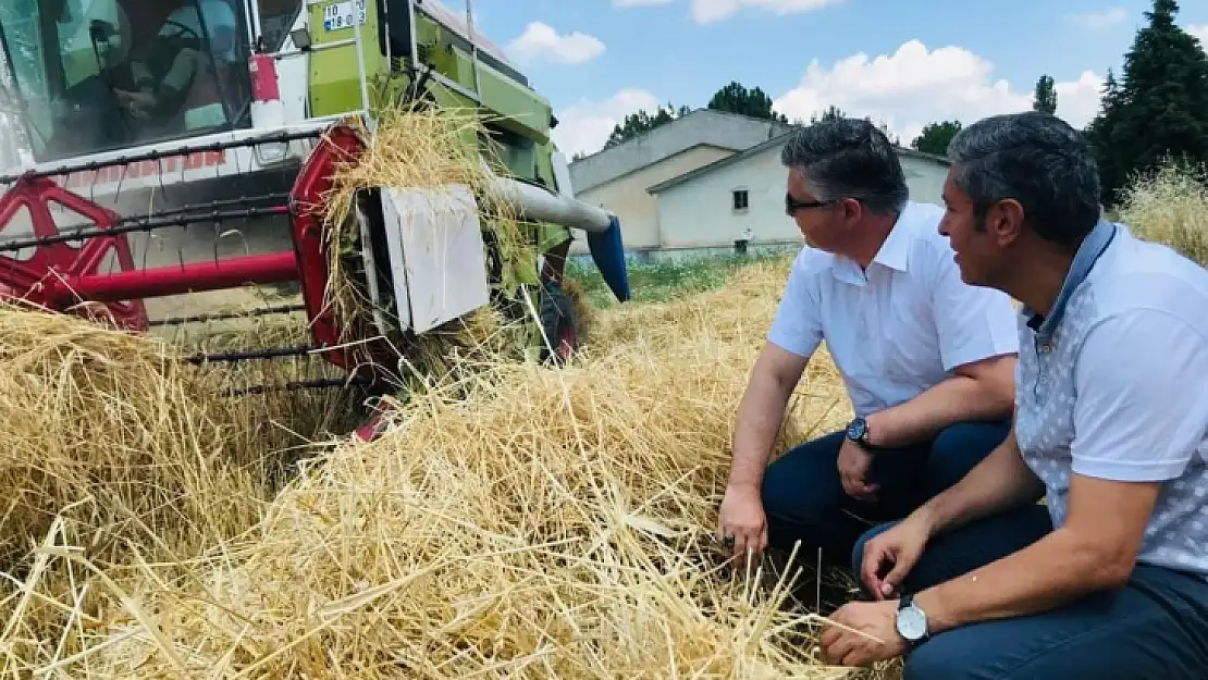 Savaştepe Mesleki Ve Teknik Anadolu Lisesinde Ata Tohumlu İlk Hasat 