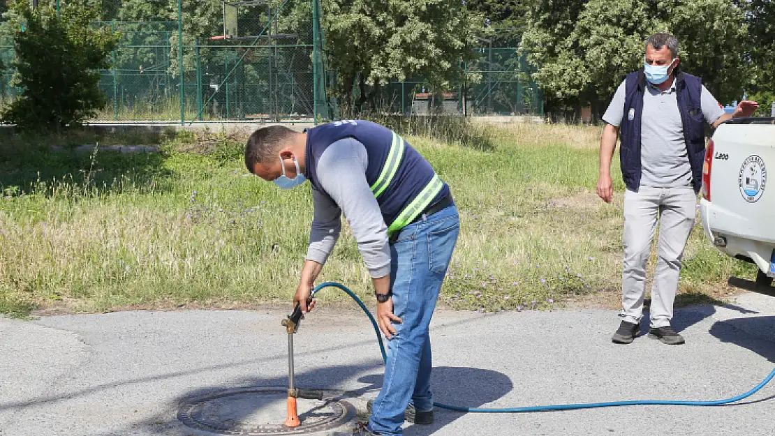 SİNEK VE HAŞERESİZ YAZ İÇİN EKİPLER SAHADA