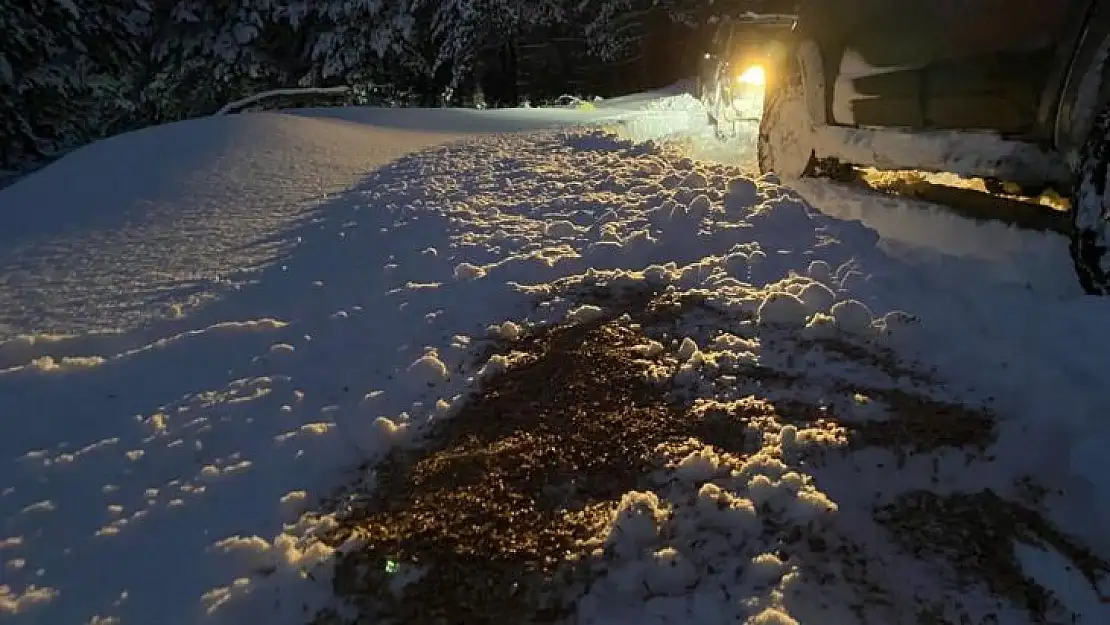 Susurluk Belediyesi Yaban Hayvanlarını Unutmadı