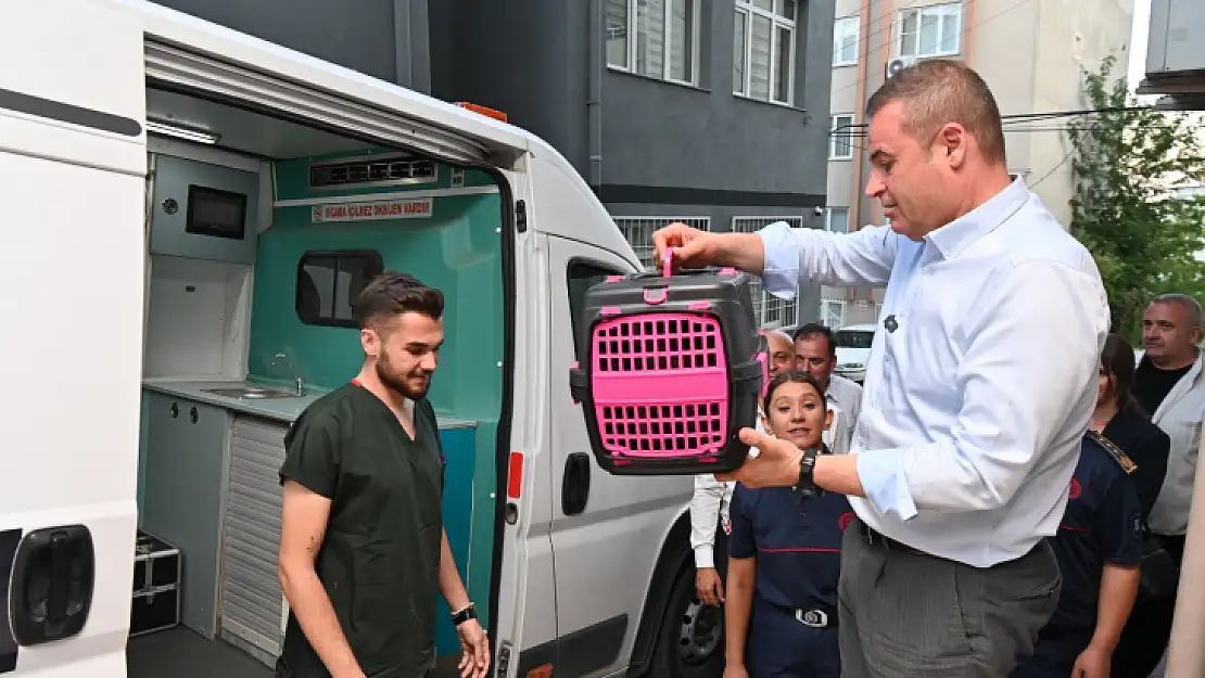 Tedavisi tamamlanan yavru kedi Biber sahibiyle buluştu