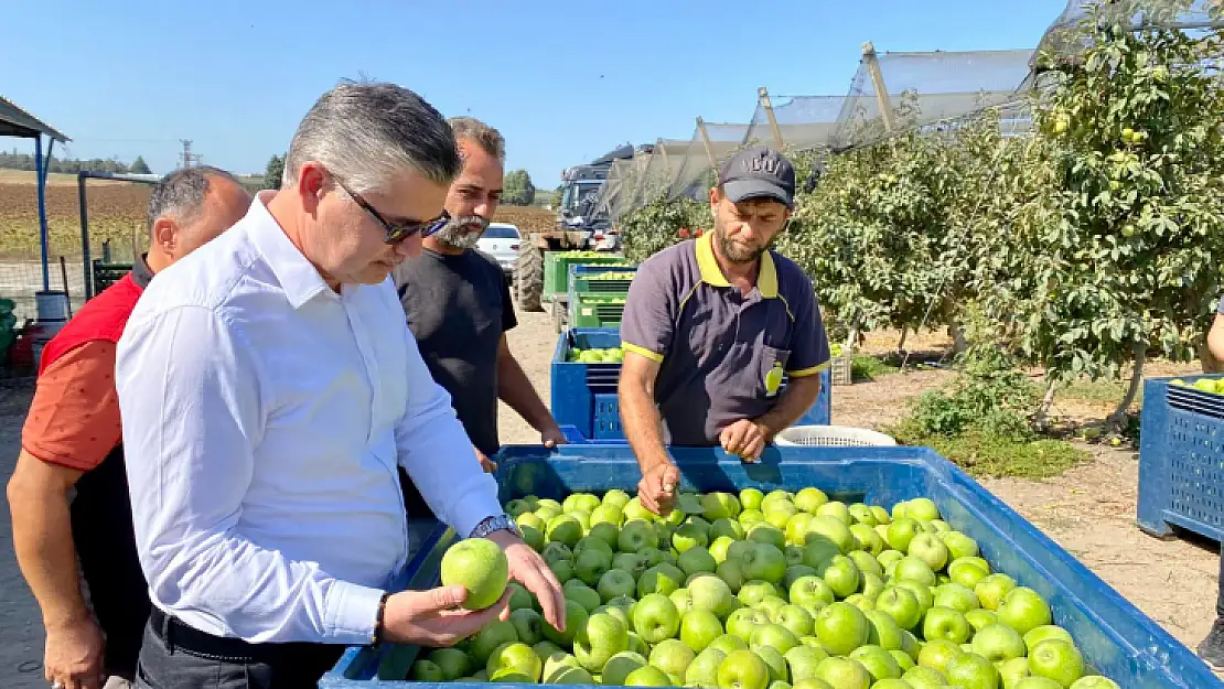 Uygulanan Projeler Meyvelerini Vermeye Başladı…