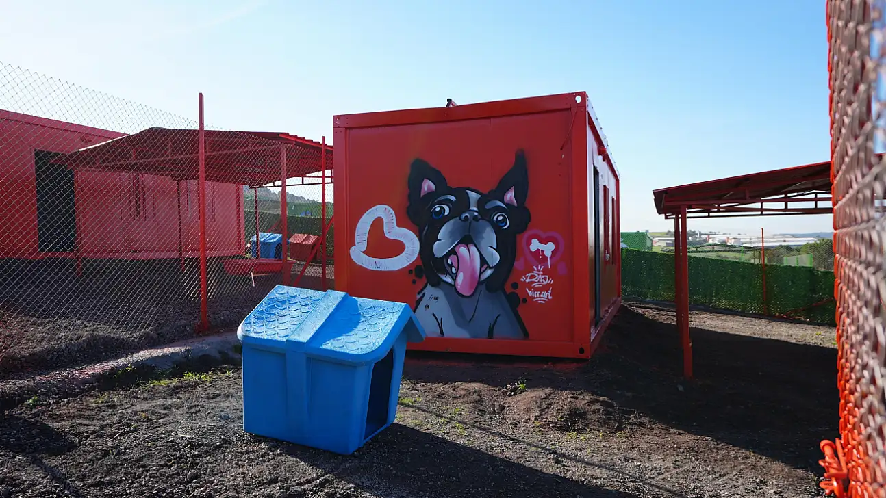 Türkiye'de ilk defa özel gereksinimli can dostlara sıcak yuva Balıkesir'de