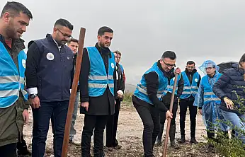 Balıkesir AK Gençlik'ten Fidan Dikim Seferberliği  'YEŞİL VATANI KORUMAK GELECEK NESİLLERE KARŞI SORUMLULUĞUMUZDUR.'