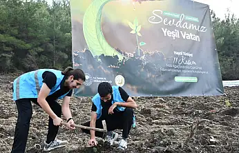 Balıkesir'de Gençler Milli Ağaçlandırma Günü'nde Yeşil Vatan İçin Buluştu