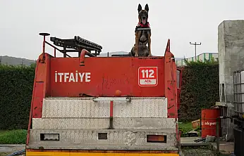 Balıkesir İtfaiyesi'nin İda'sı hayat kurtaracak