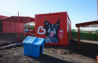 Türkiye'de ilk defa özel gereksinimli can dostlara sıcak yuva Balıkesir'de