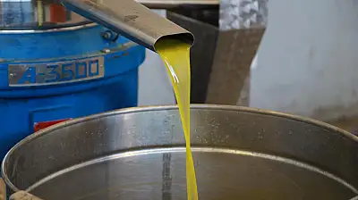 Burhaniye Belediyesi , 'doğallık ve güven' ilkesiyle Zeytinyağlarını tüketiciyle buluşturuyor