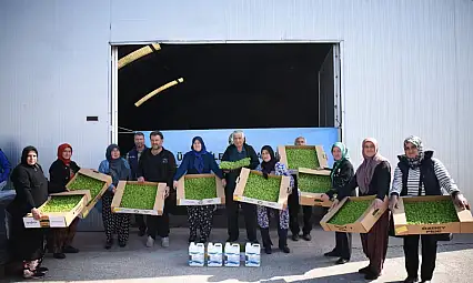 Büyükşehir'den kadın sera üreticilerinin maliyetini azaltan destekler