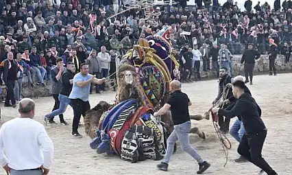 Havran'da 7. Geleneksel Folklorik Deve Gösterisi Coşkusu Yaşandı