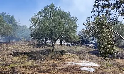 Sarıbeyler'de çıkan yangın ucuz atlatıldı