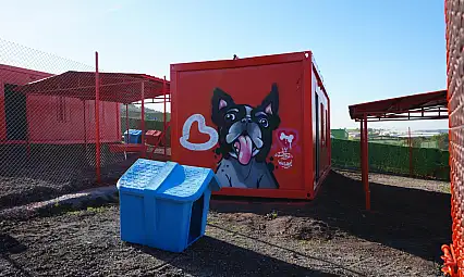 Türkiye'de ilk defa özel gereksinimli can dostlara sıcak yuva Balıkesir'de