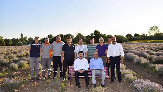 Altıeylül Lavanta Bahçesi Büyülüyor