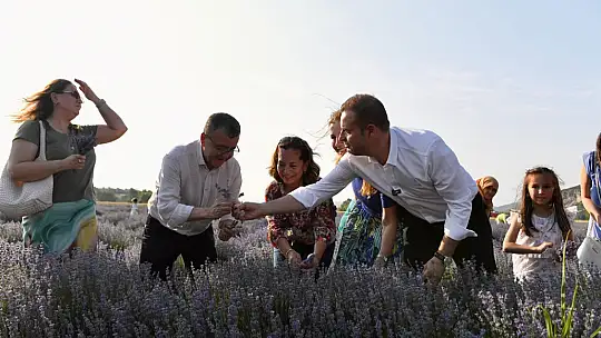 ALTIEYLÜL LAVANTA GÜNLERİ'NE BİNLERCE ZİYARETÇİ AKIN ETTİ