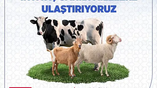 Altıeylül Kurban Bayramına Hazır